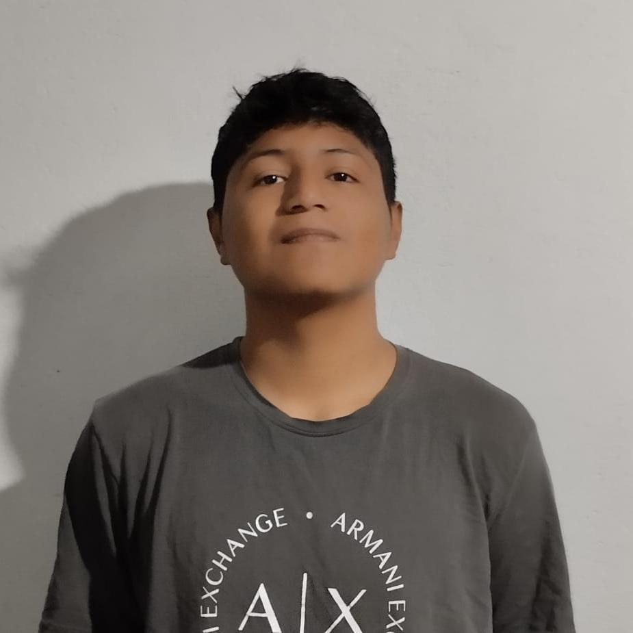 User Image